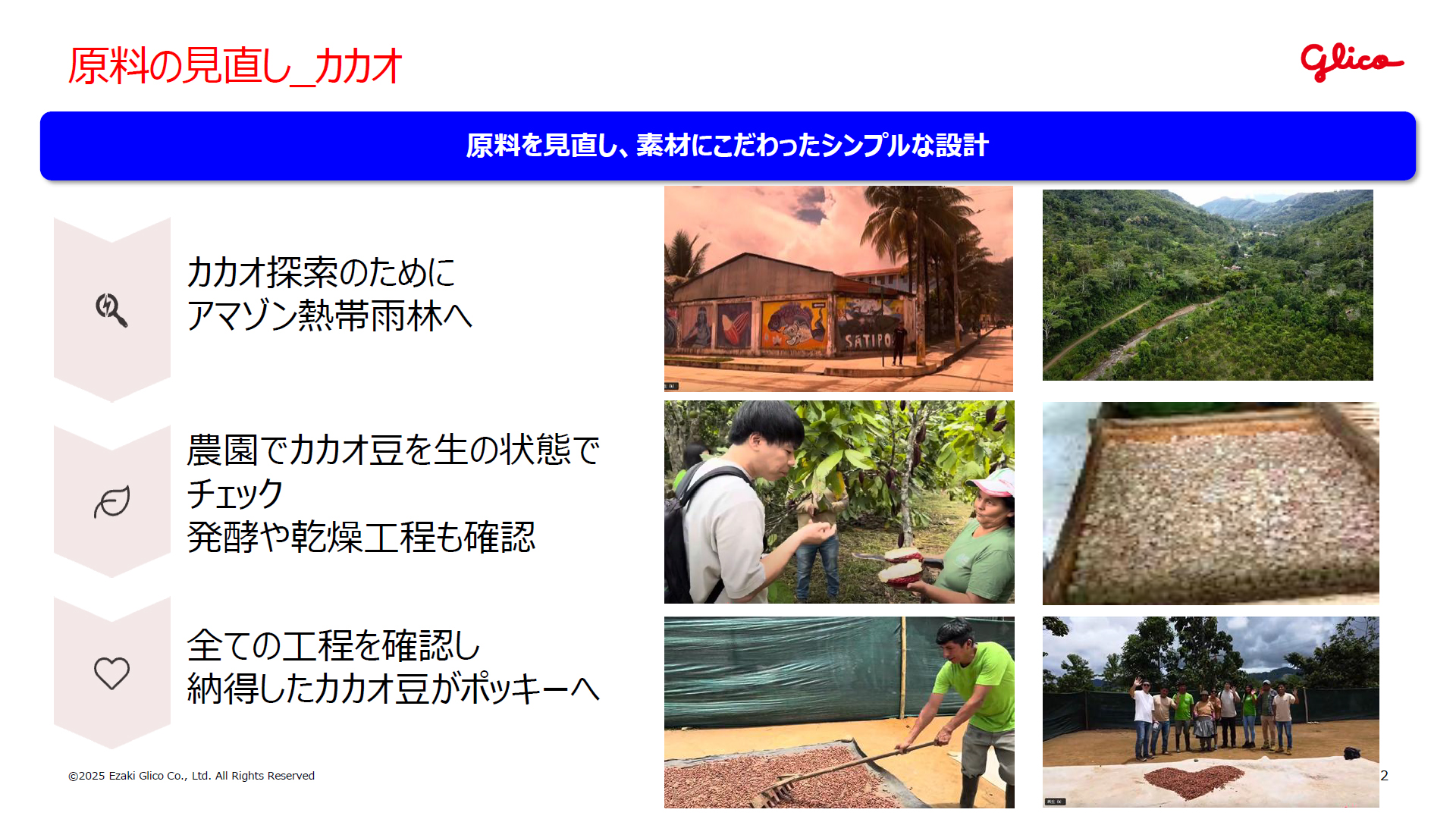 アマゾンにある農場を視察し、カカオの品質を確認