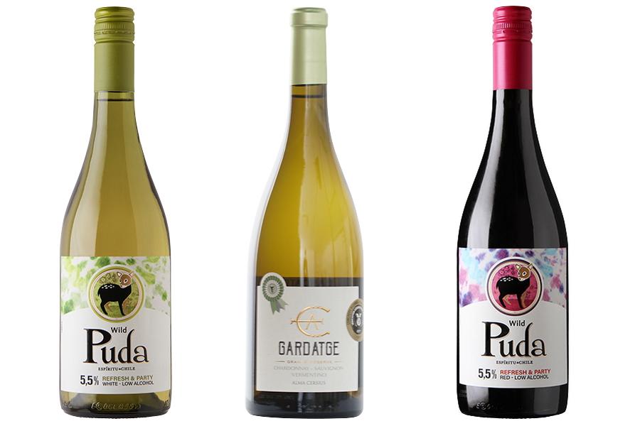 イオン「フランス・スペイン・チリ産などの厳選ワインクリアランスセール」