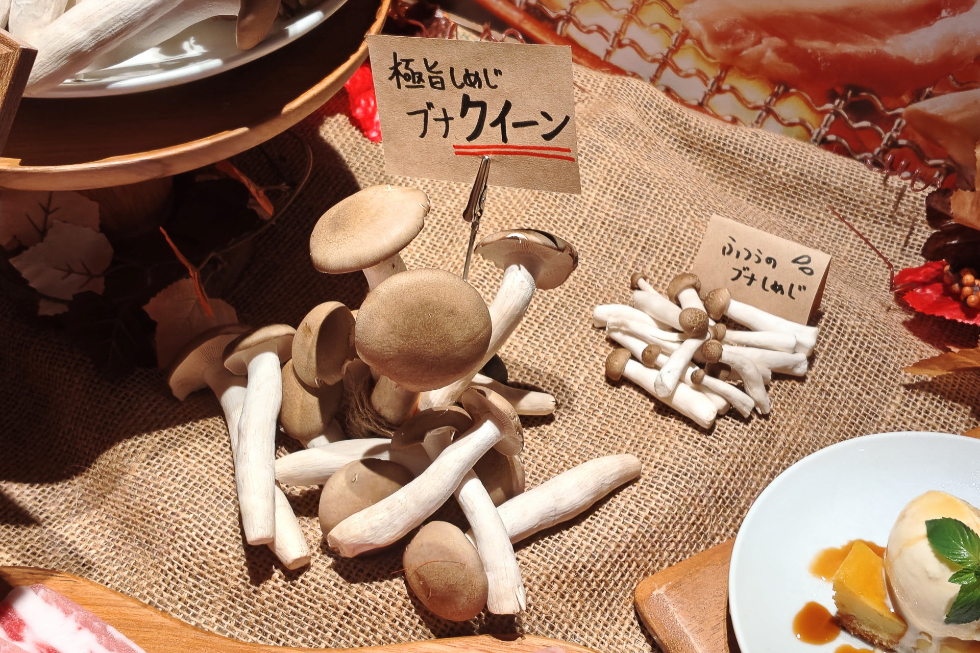 一般的なぶなしめじと「ぶなクイーン」のサイズ比較