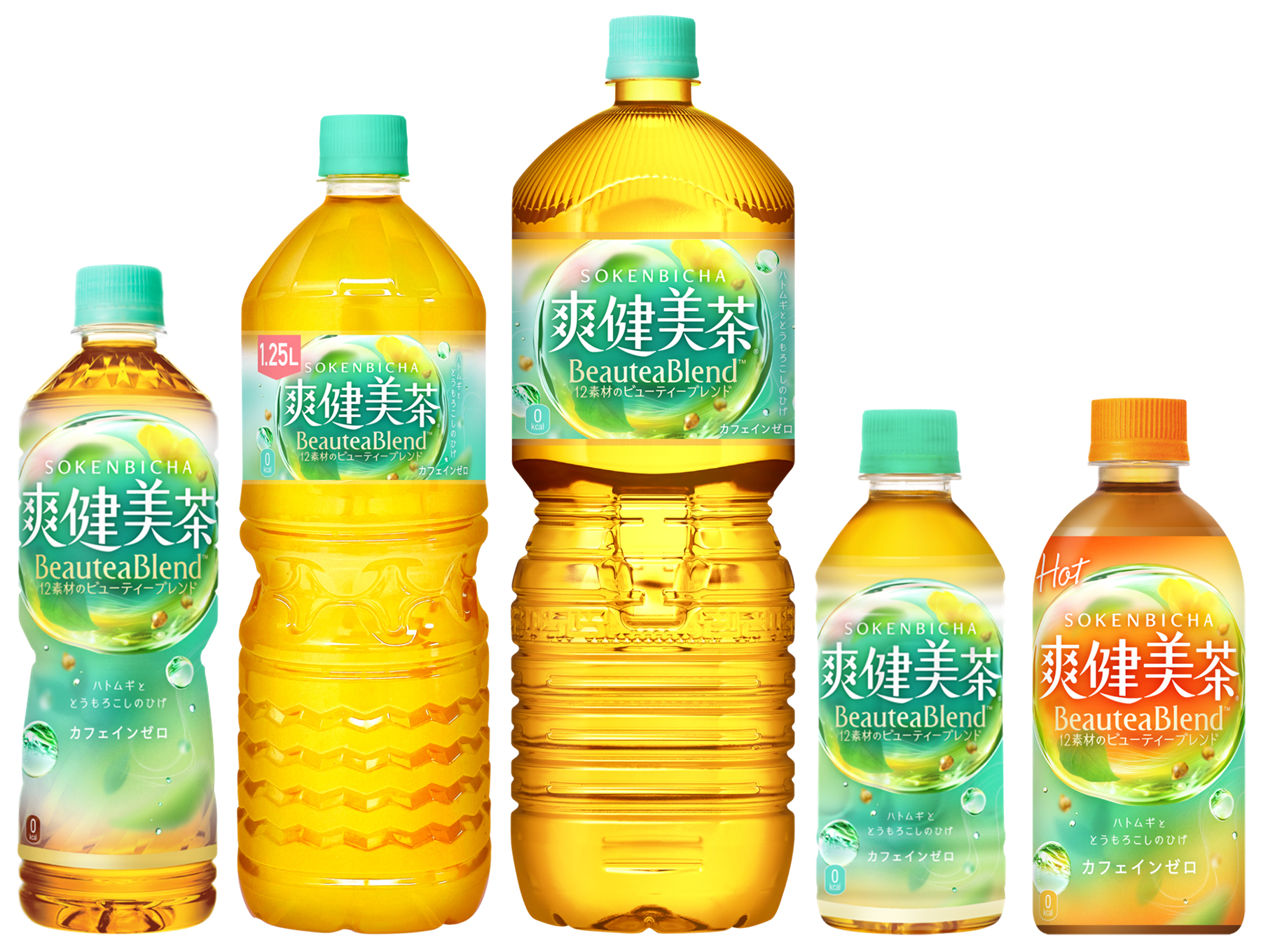「爽健美茶」600mL 180円、1.25L 300円、2L 391円、300mL 145円、440mL加温PET 175円。いずれも税別価格
