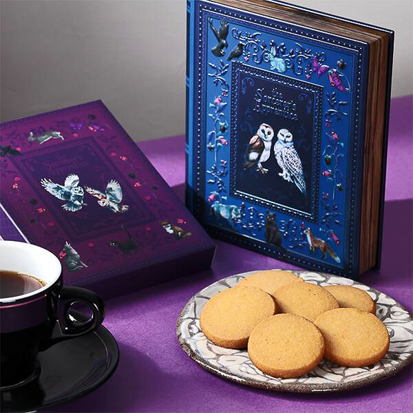 「魔法使いの弟子のための魔法辞書」（ブルー）