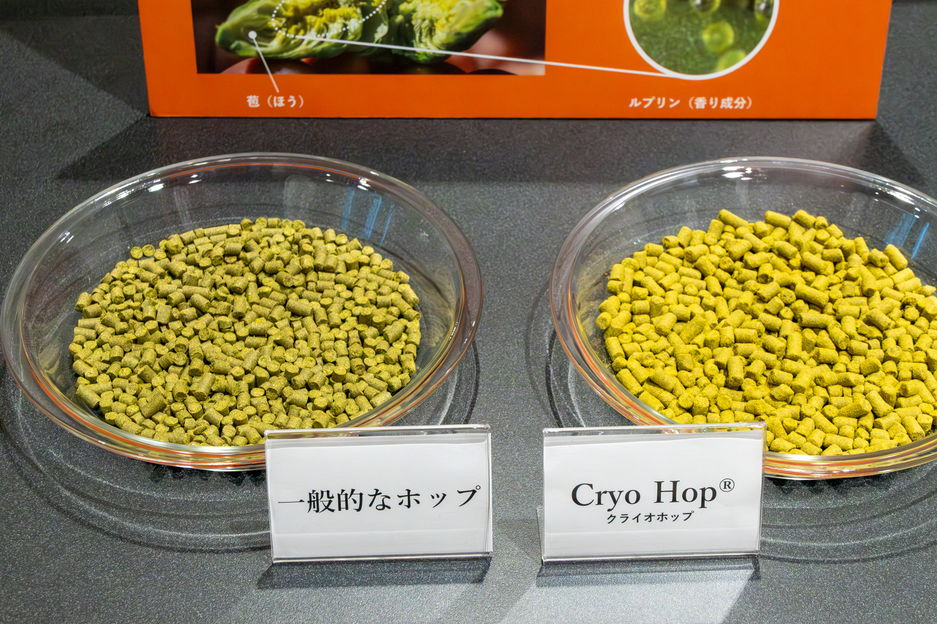 世界有数のホップサプライヤーであるヤキマチーフ社の商品「Cryo Hop」。写真は工場で使うペレット状のもの