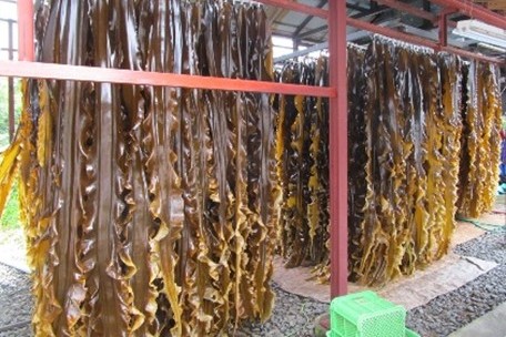 昆布を増量し、つゆの旨みを追求