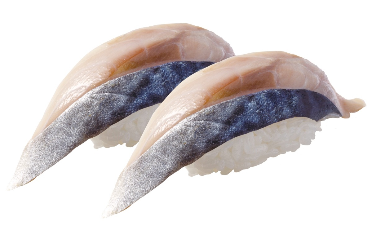 京都舞鶴港水揚げ しめさば