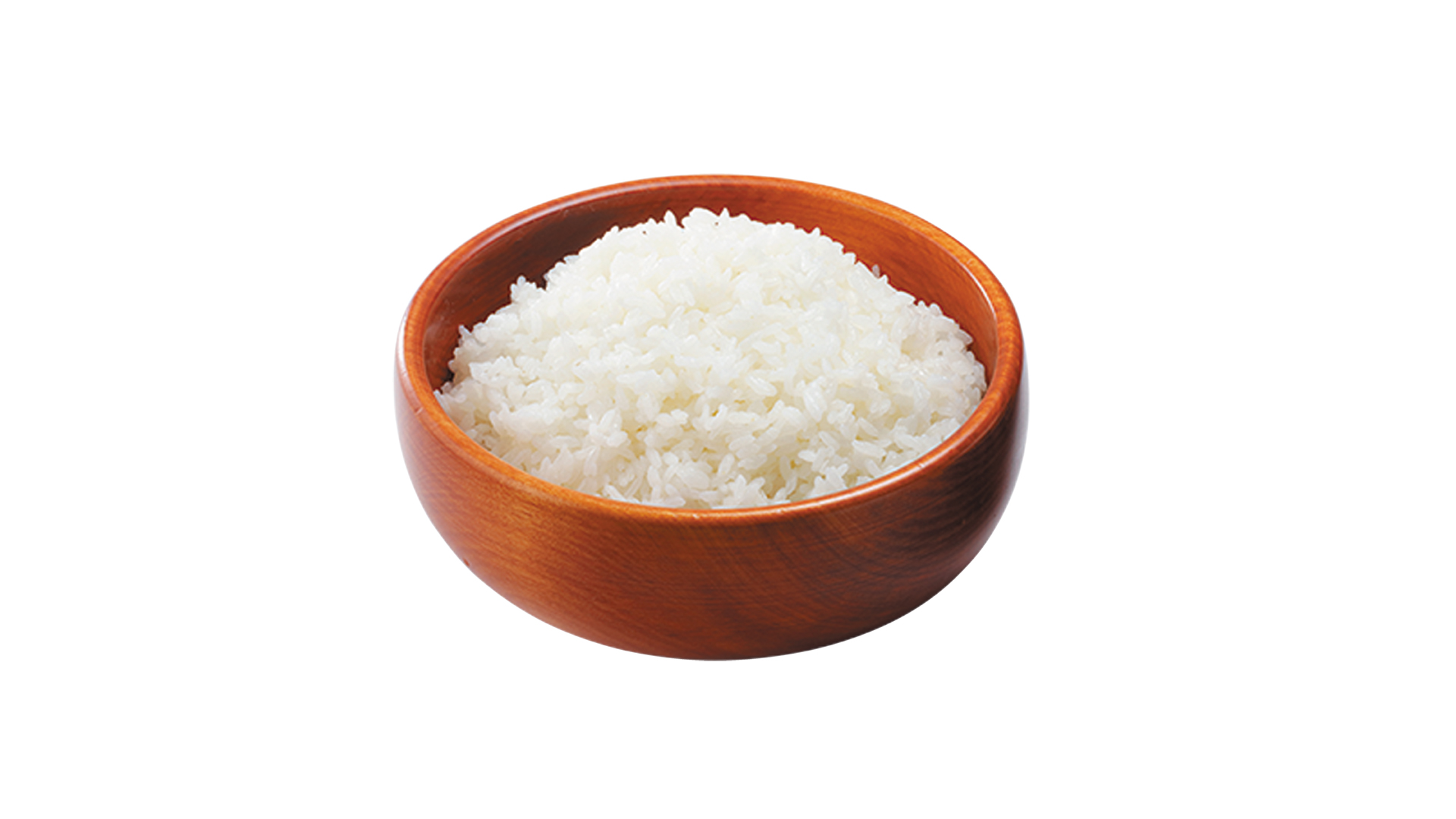 「ガリバーバーグステーキ専用 ガリバーライス」（600g 570円）