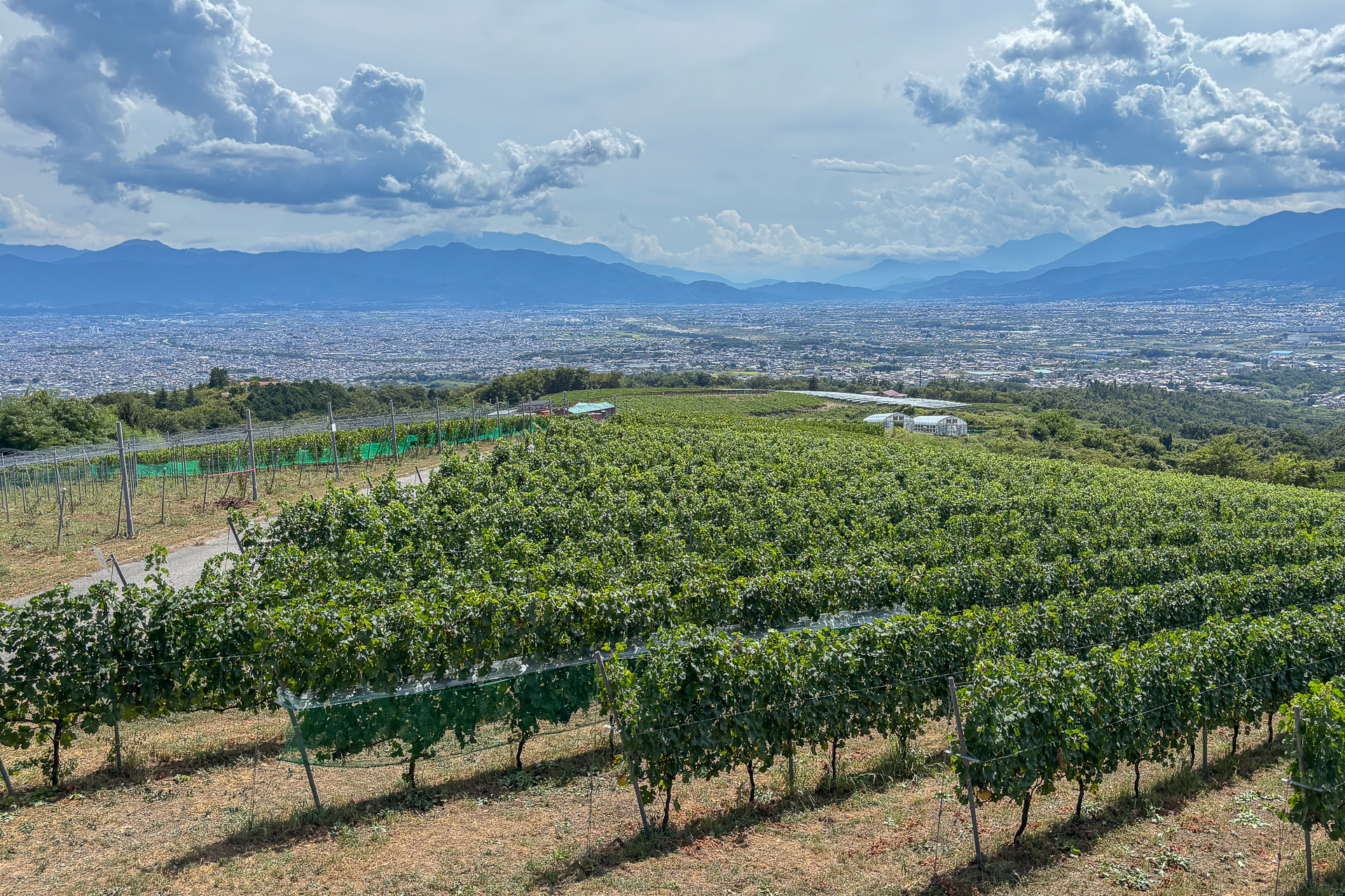 サントリー登美の丘ワイナリー