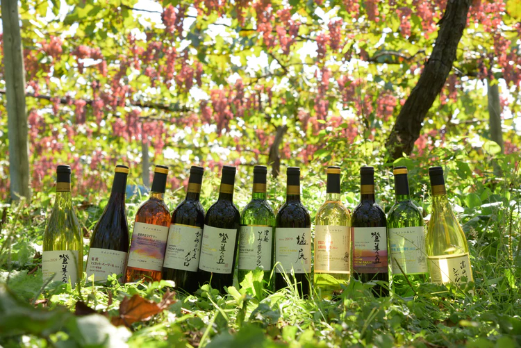 日本ワインの楽しみ方ミニセミナー