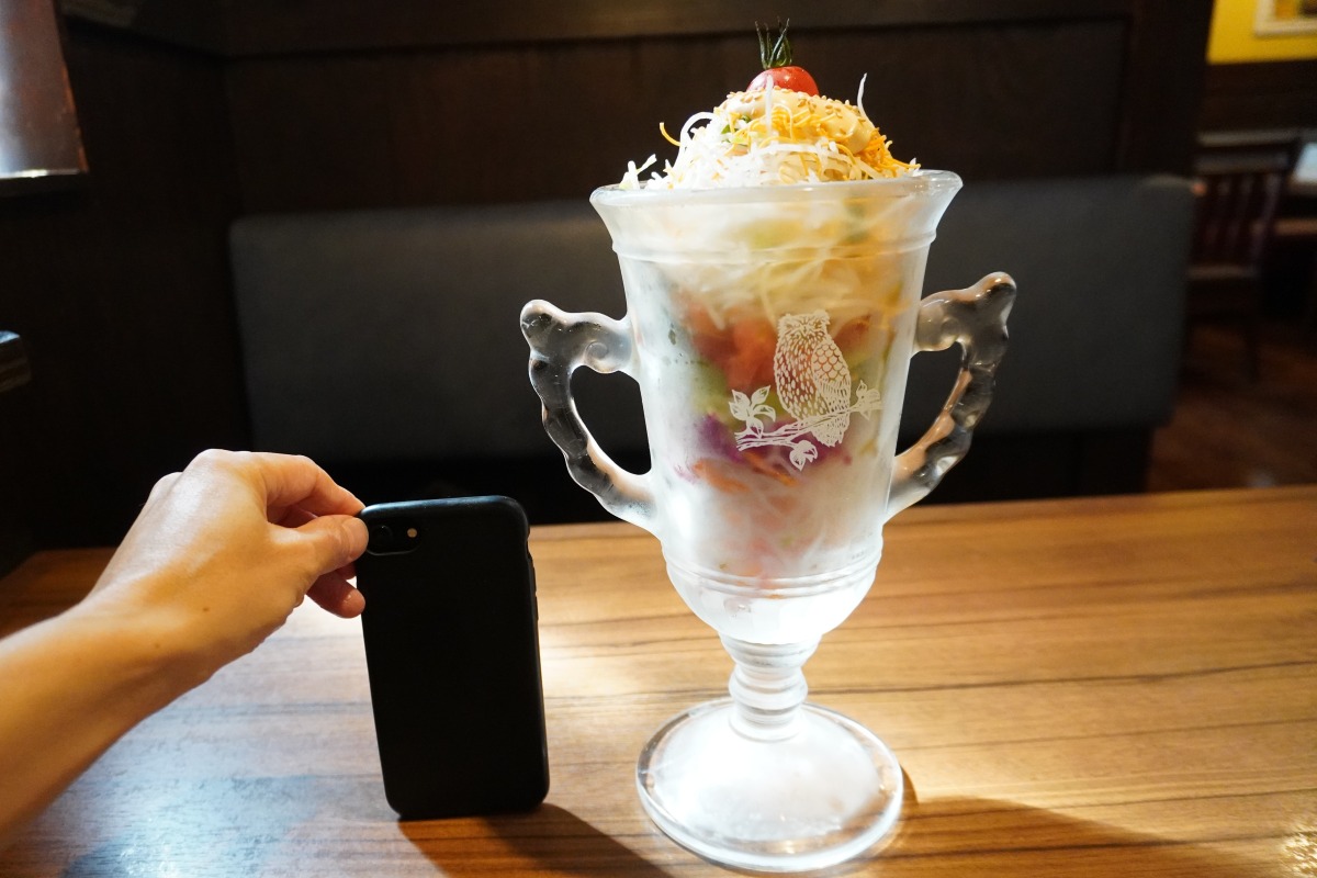 ガリバーサラダとスマホを比べると、倍以上の大きさ