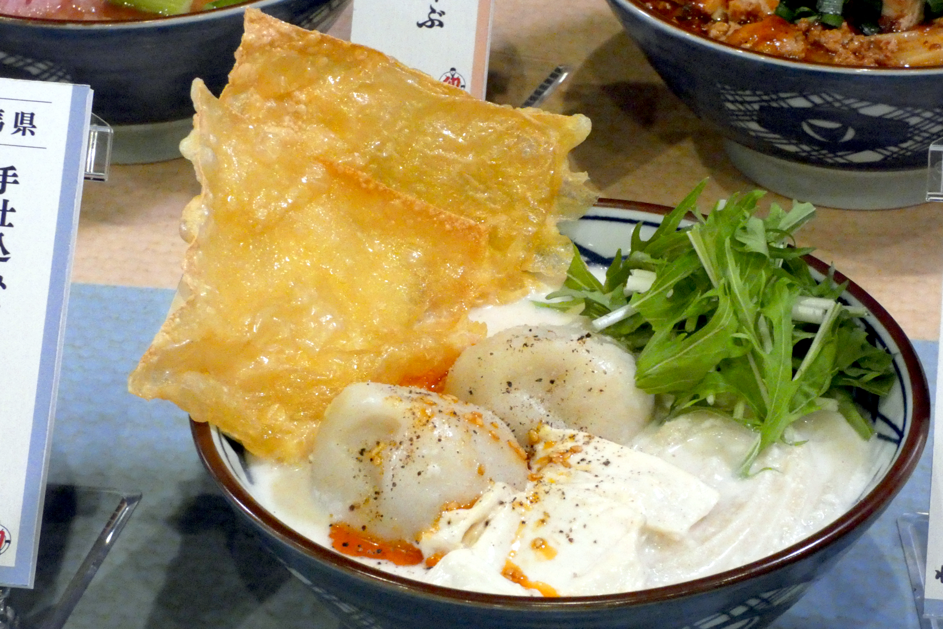 栃木県：豆乳胡麻だしのコク旨ゆばうどん～ゆば天と水餃子のせ～（並890円、大1070円、温のみ）