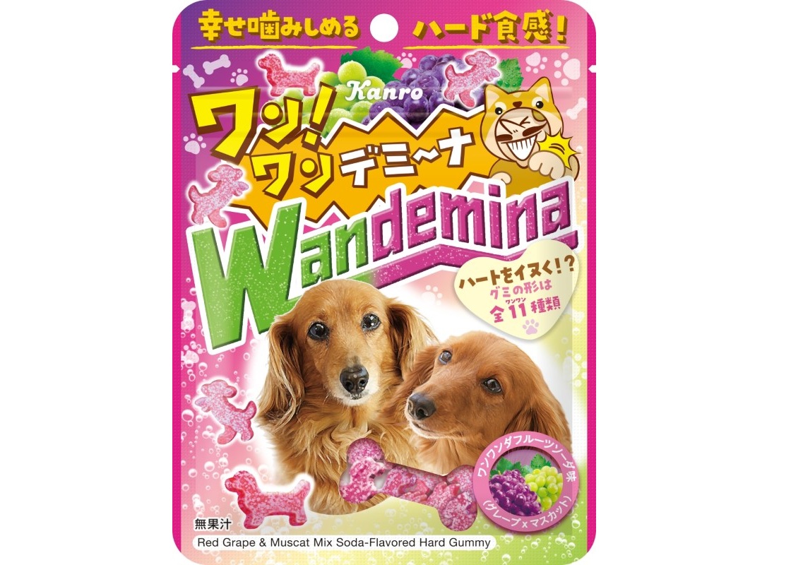 ワンワンデミーナ