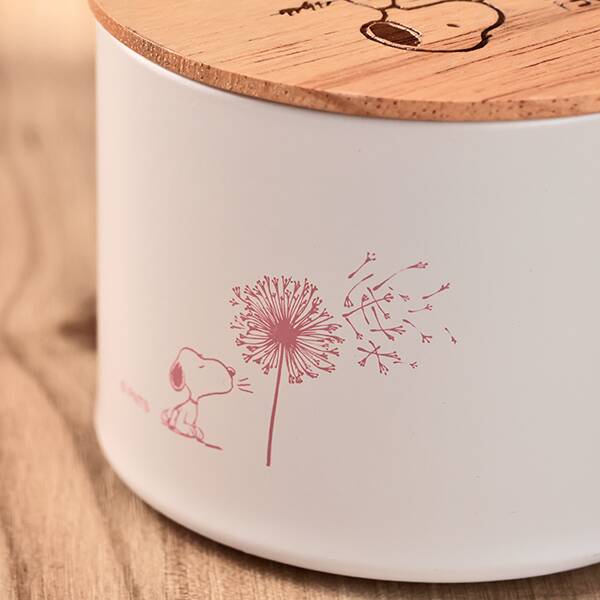 いろんなところにスヌーピー