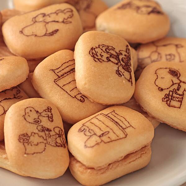 いろんなところにスヌーピー