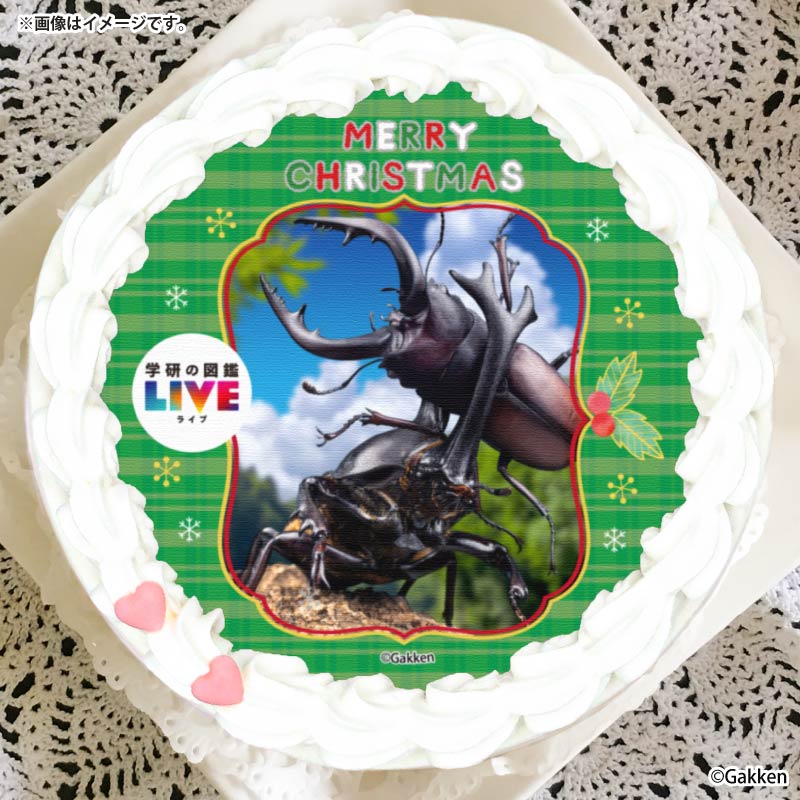 Xmasプリケーキ2025（昆虫）