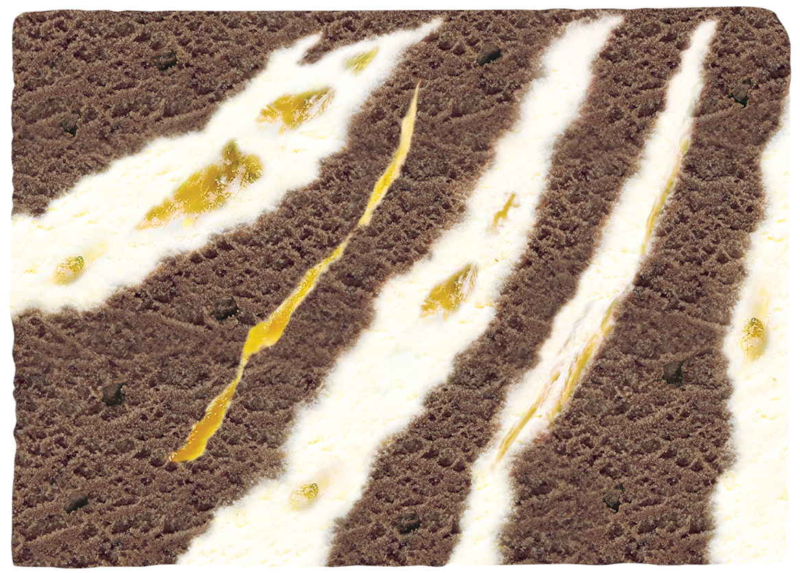 「－ゴディバ監修 －マリアージュ  デュ ショコラ アイスクリームケーキ」の断面