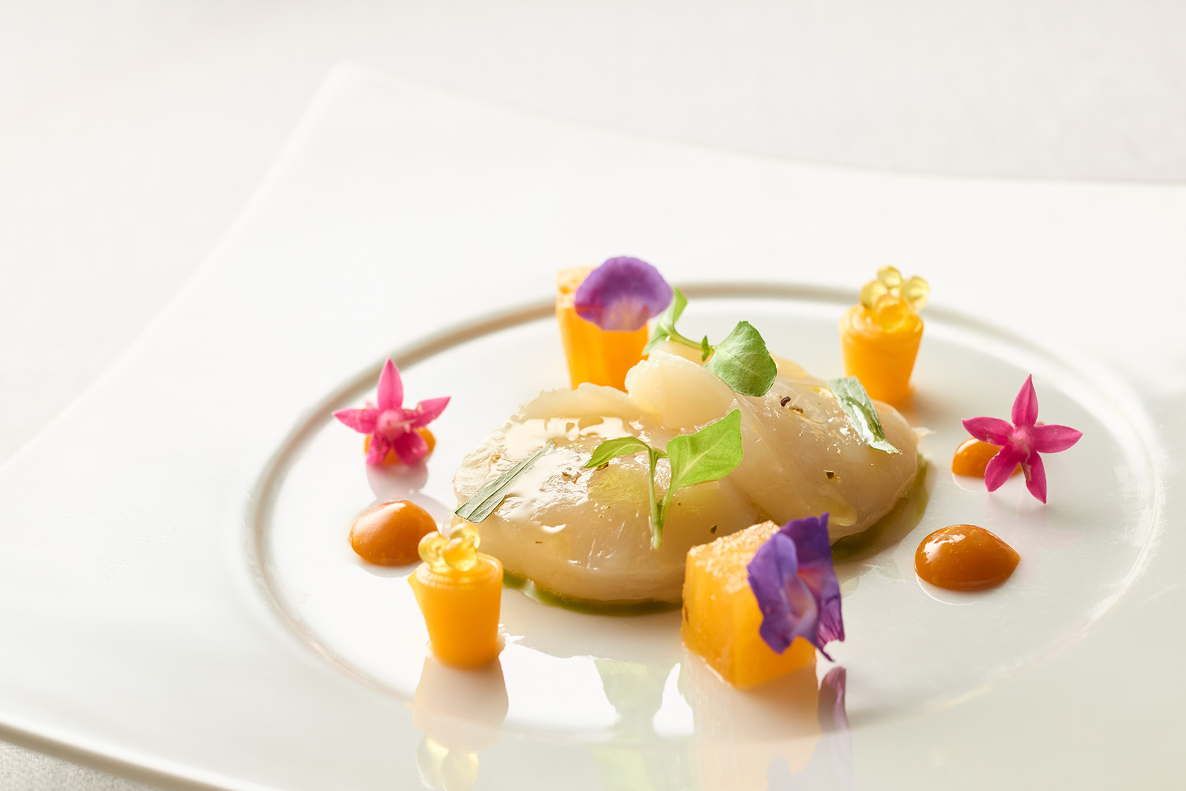 北海道産ホタテのマリネ/フヌイユとリンゴのクリーム/ディルとエストラゴンの香り