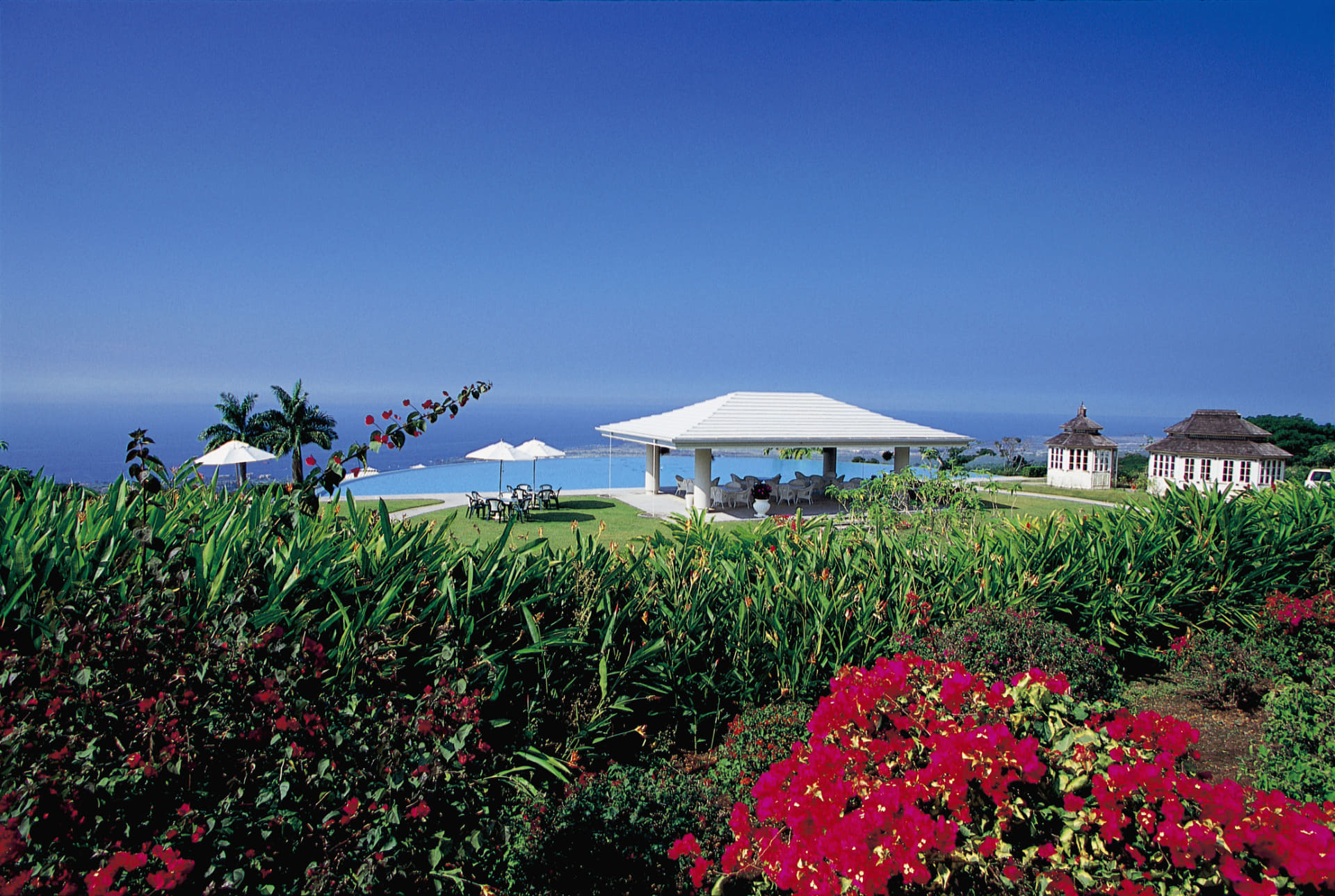 自社農園「マウカメドウズ農園」