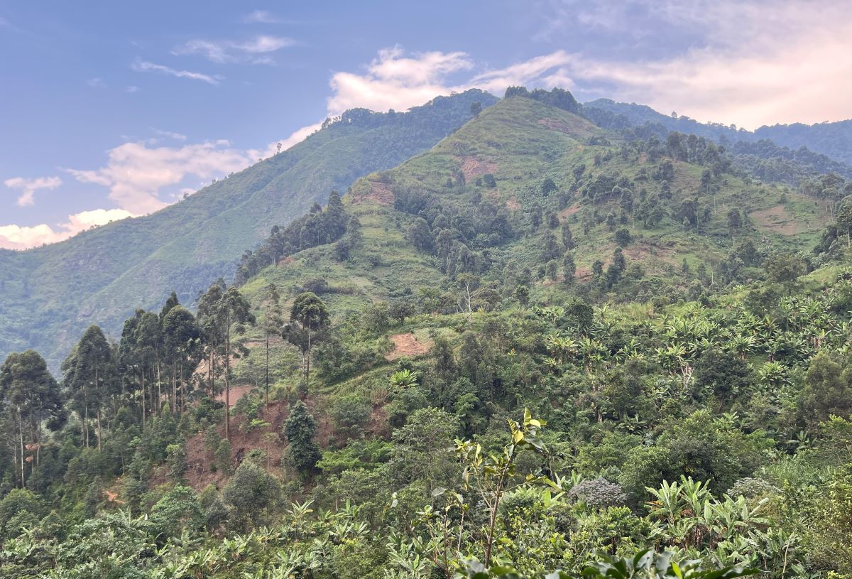 ウガンダ・ルウェンゾリ山脈