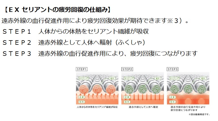 EX セリアントの疲労回復の仕組み