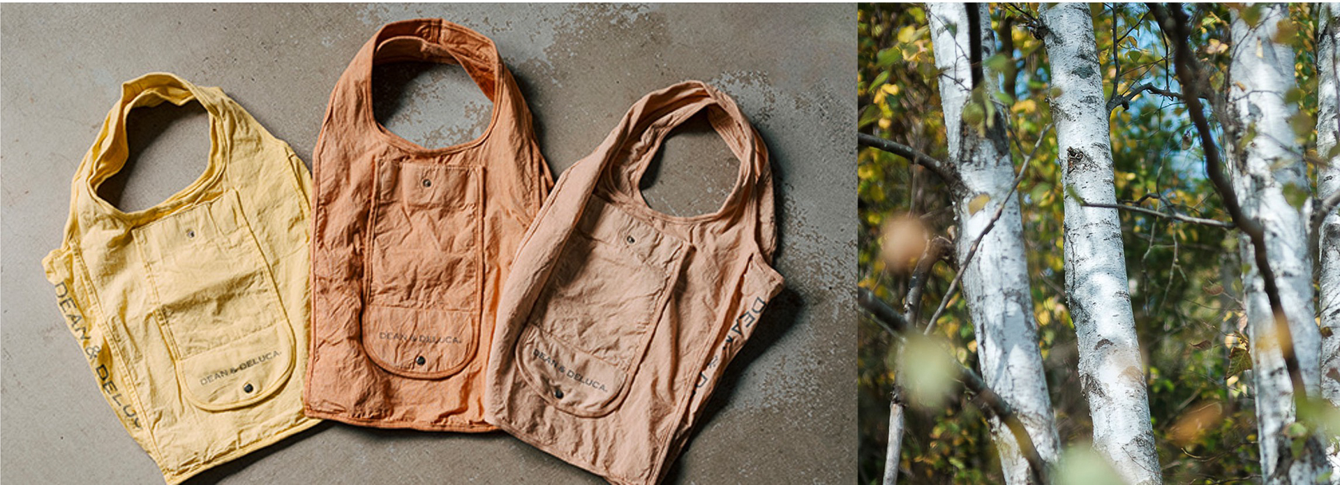 「BetulaN（ベチュラン）」との第1弾「白樺」