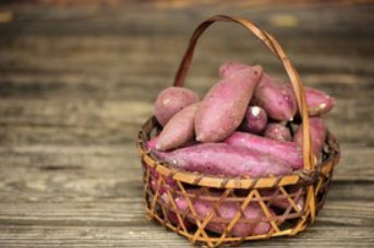 三芳町上富の地で、日本農業遺産・世界農業遺産に認定された、江戸時代より代々受け継がれる「武蔵野の落ち葉堆肥農法」で栽培するさつまいも「富（とめ）の川越いも」