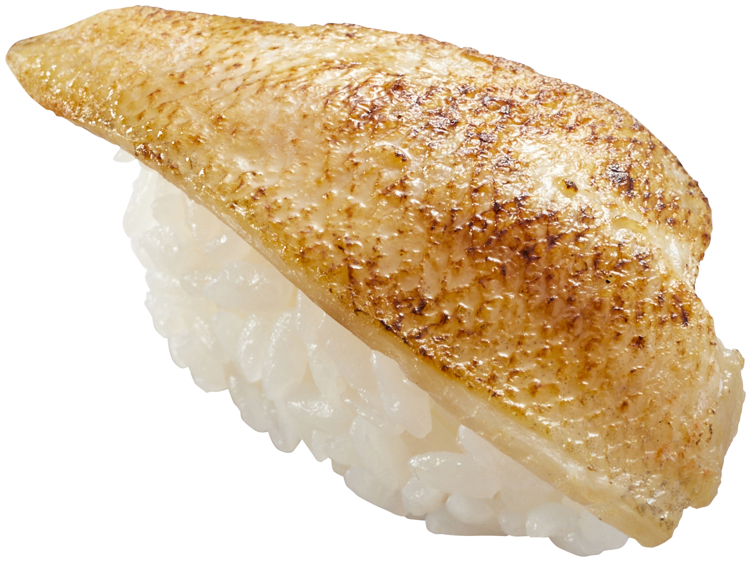 天然のどぐろ塩炙り