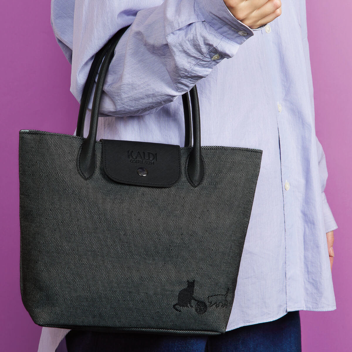 「ネコの日バッグ プレミアム」（2990円）の内容