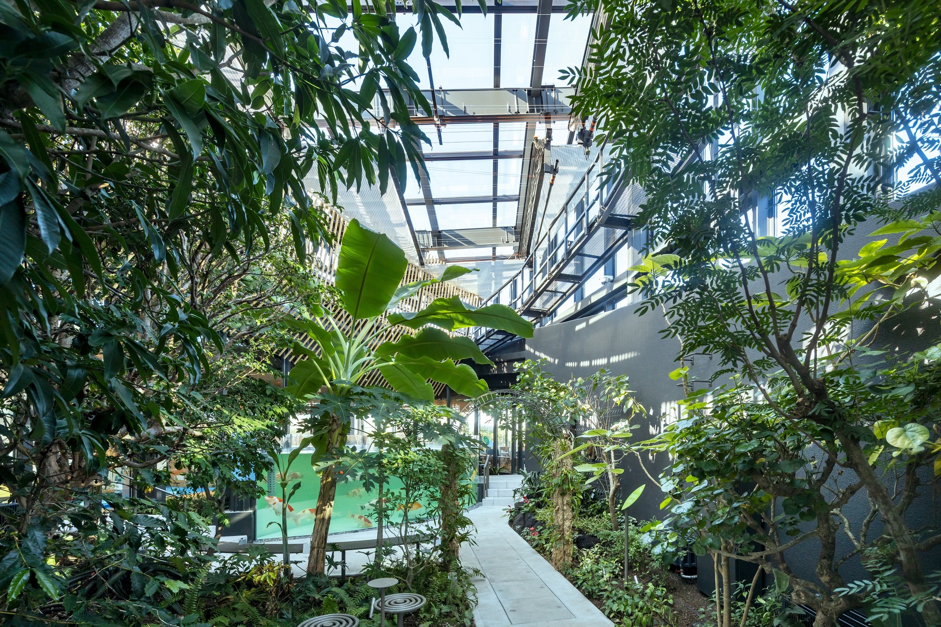植物園「めぐりの森」
