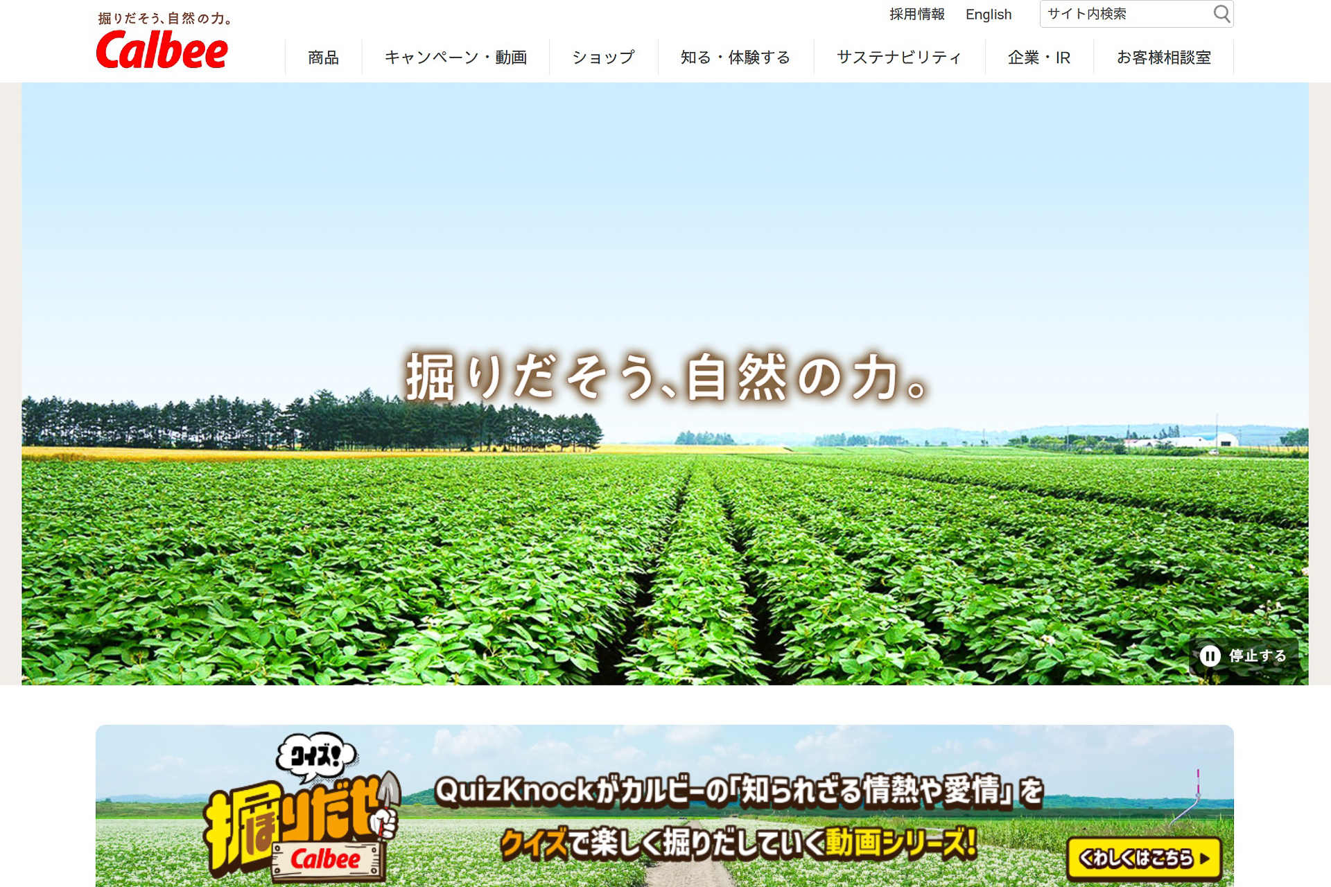 カルビーのWebサイト