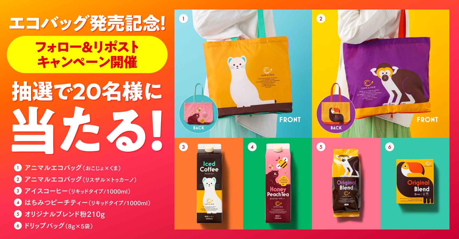 Xフォロリポキャンペーン