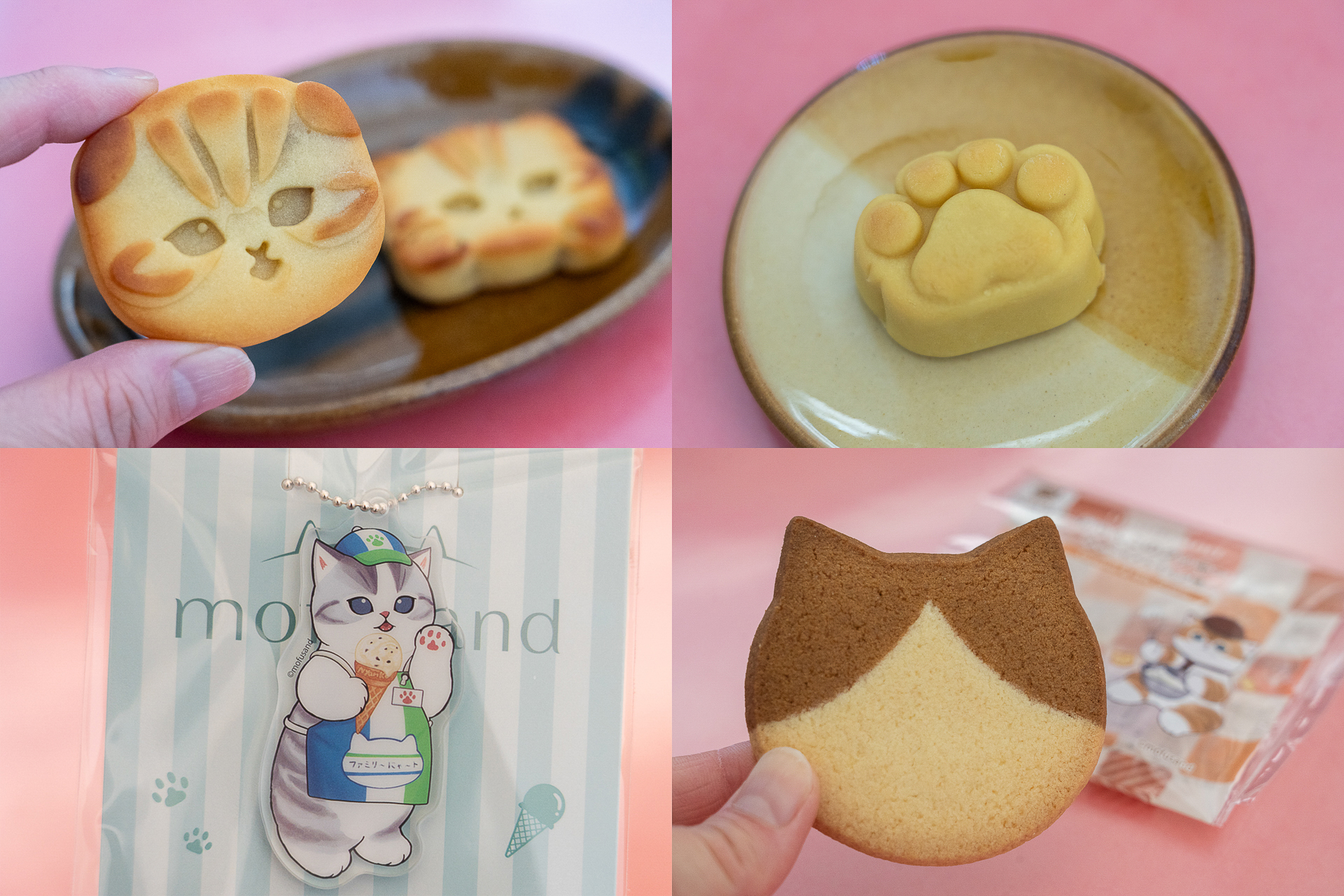 「ファミリ～にゃ～ト大作戦！」でねこの日（2月22日）を楽しもう
