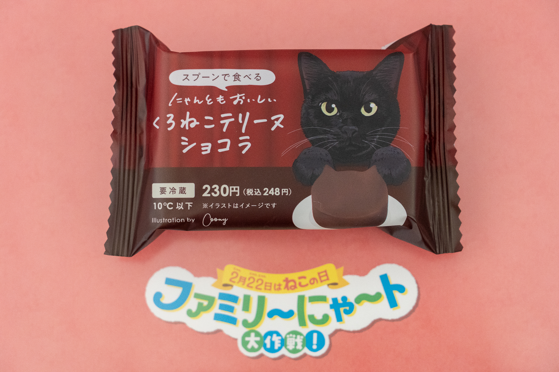 “スプーンで食べる”濃厚なショコラテリーヌは冬のとっておきデザート。くろねこパッケージがGood