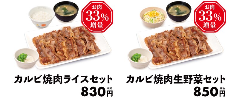 カルビ焼肉ライスセット、カルビ焼肉生野菜セット