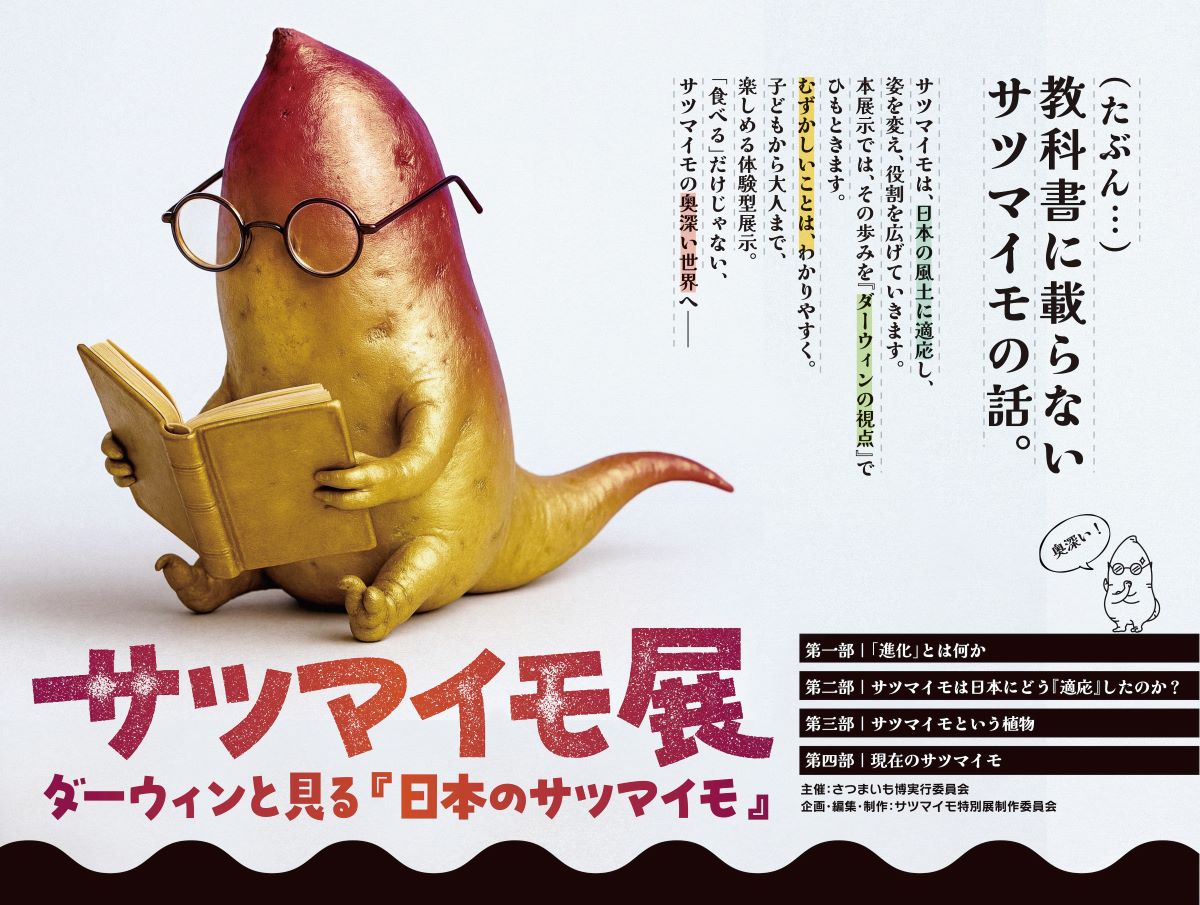 さつまいもについてわかりやすく楽しく学べる「サツマイモ展」