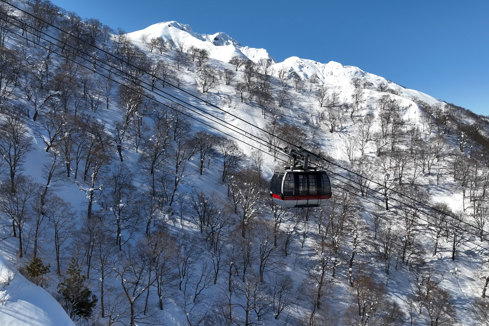 雪景色の中を空中遊覧するロープウェイ