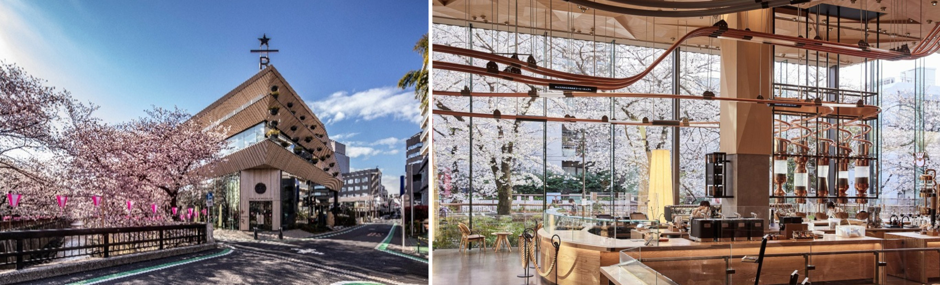 桜開花時期のスターバックス リザーブ ロースタリー 東京