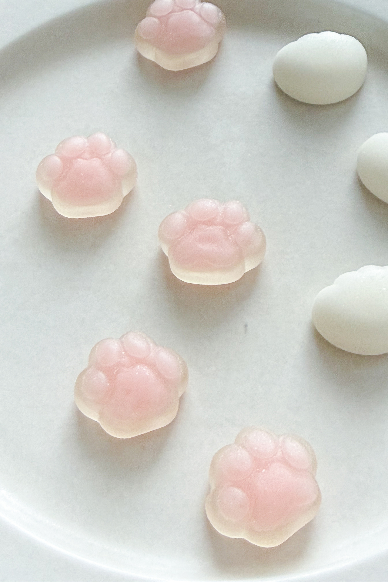 眺めていたくなるかわいさですわ～