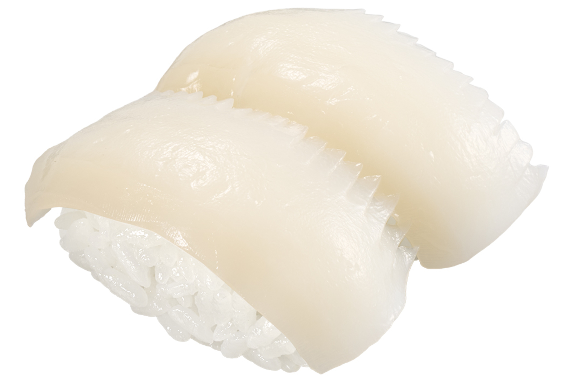 「北海道産 ムラサキイカ」（120円～）