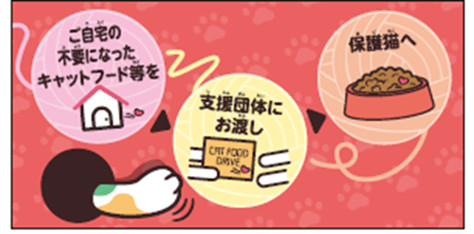 キャットフードドライブ活動