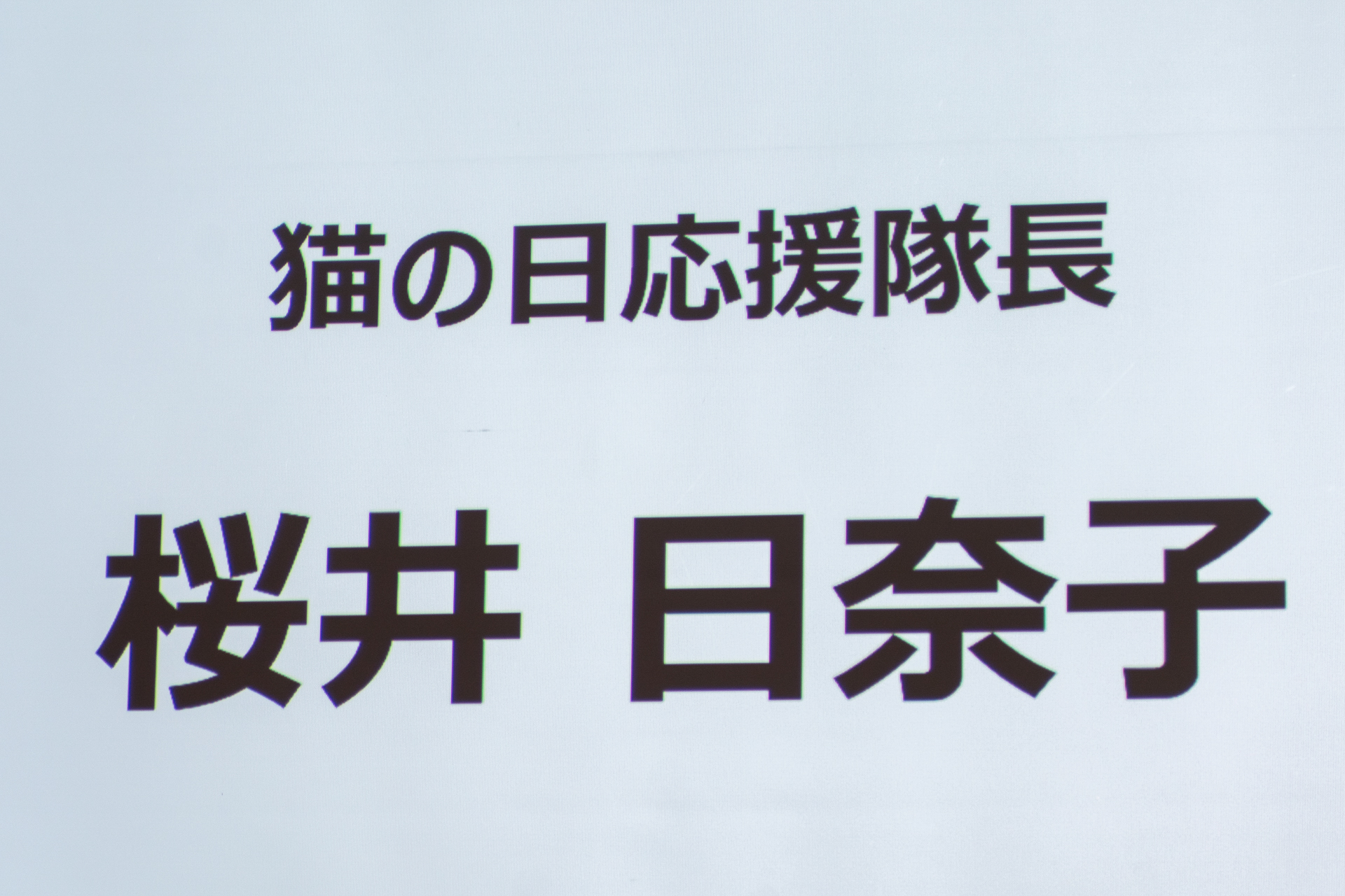 「猫の日応援隊長」は大の猫好きを公言している俳優の桜井日奈子さん。ご実家では猫を2匹飼っているそう