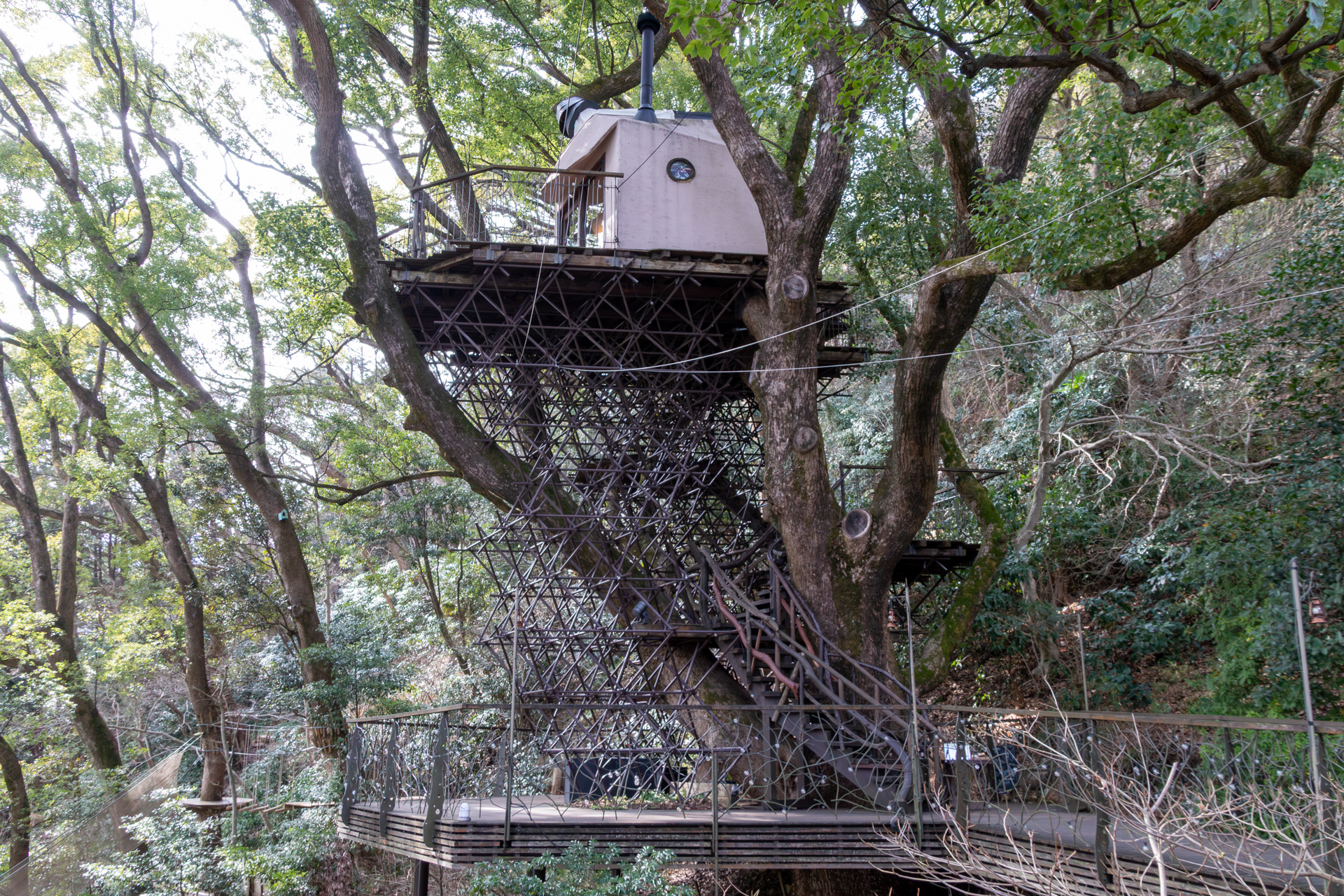 子供も大人もテンションが上がるツリーハウス。木の上って、なぜこんなに気分が上がるのでしょうか