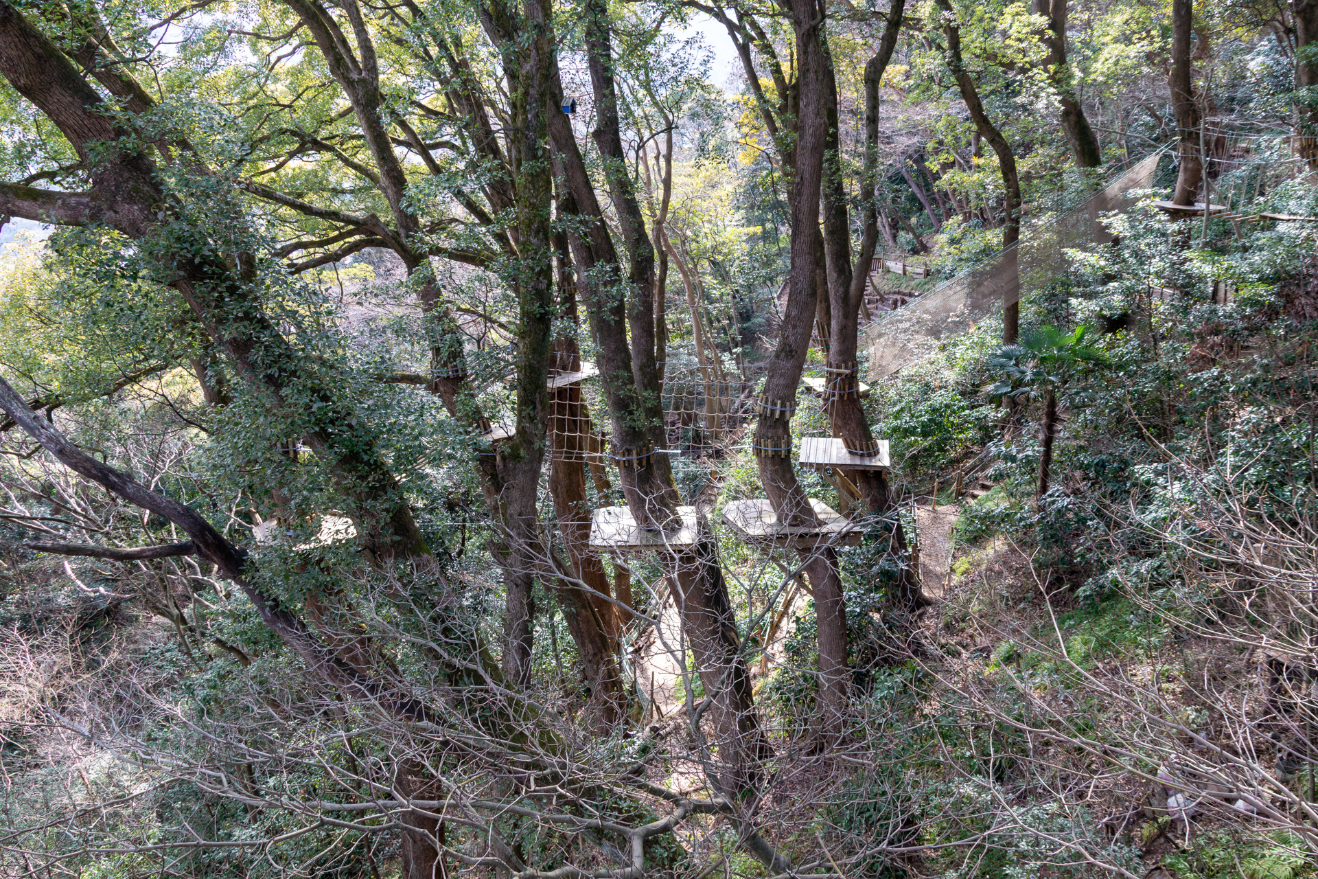 眼下にはフルハーネスを装着して楽しむアスレチックコースがある