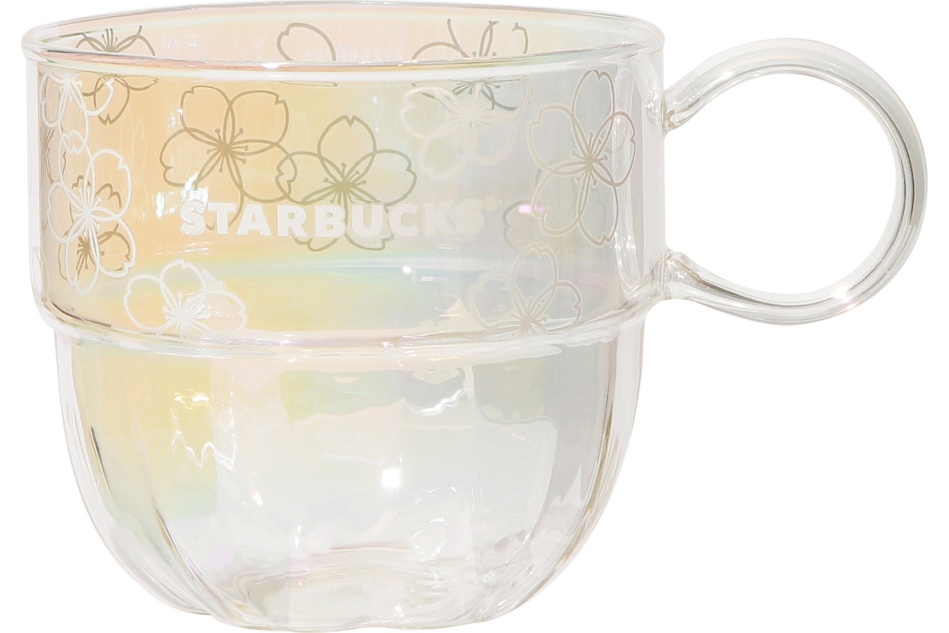 SAKURA2026耐熱グラスマグラスター355mL