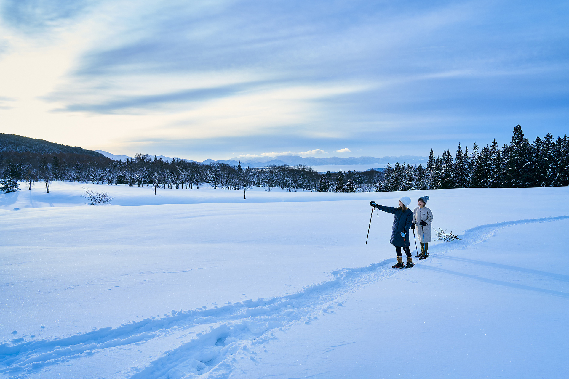朝焼けに染まる手つかずの雪原