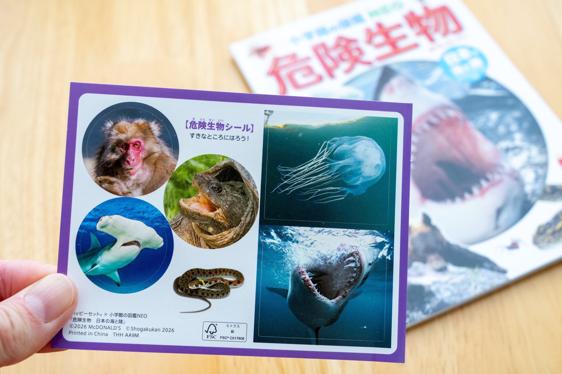危険生物シール付き