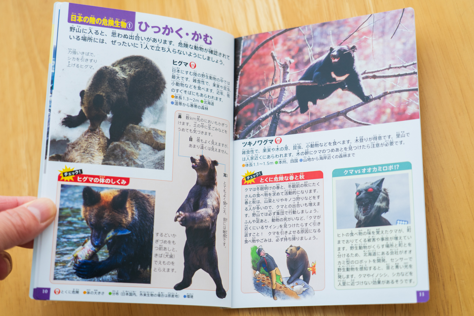 陸の危険生物にはヒグマやツキノワグマが紹介されている