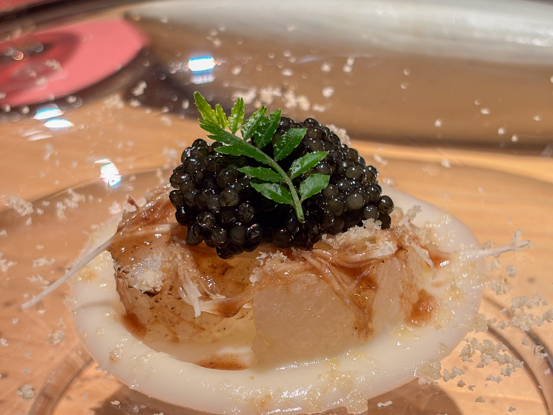 鹿児島 アオリイカ・フランス キャビア