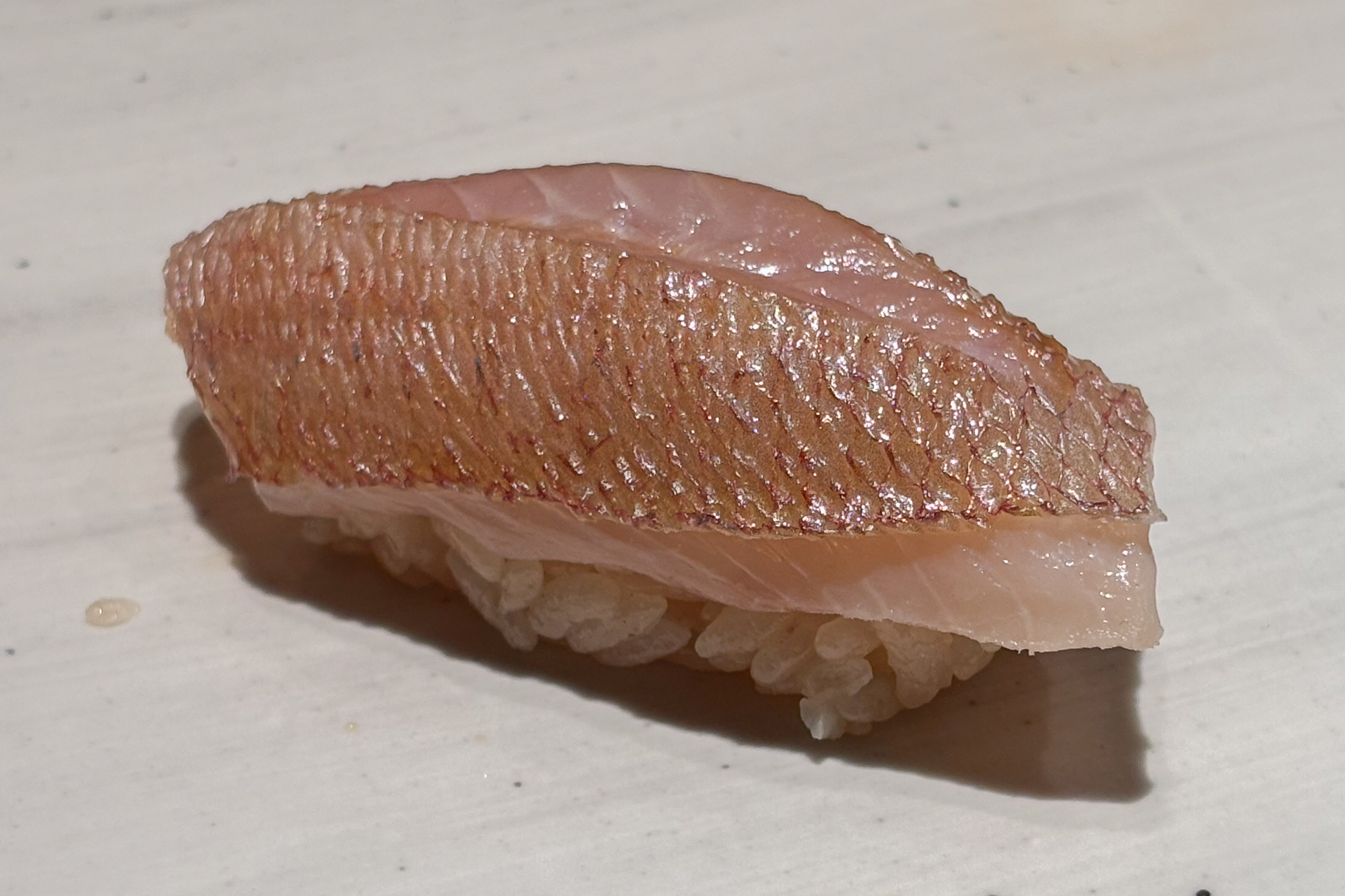 茨城 日立 春子鯛