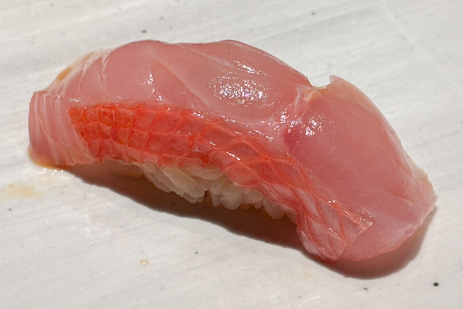 千葉 銚子 金目鯛