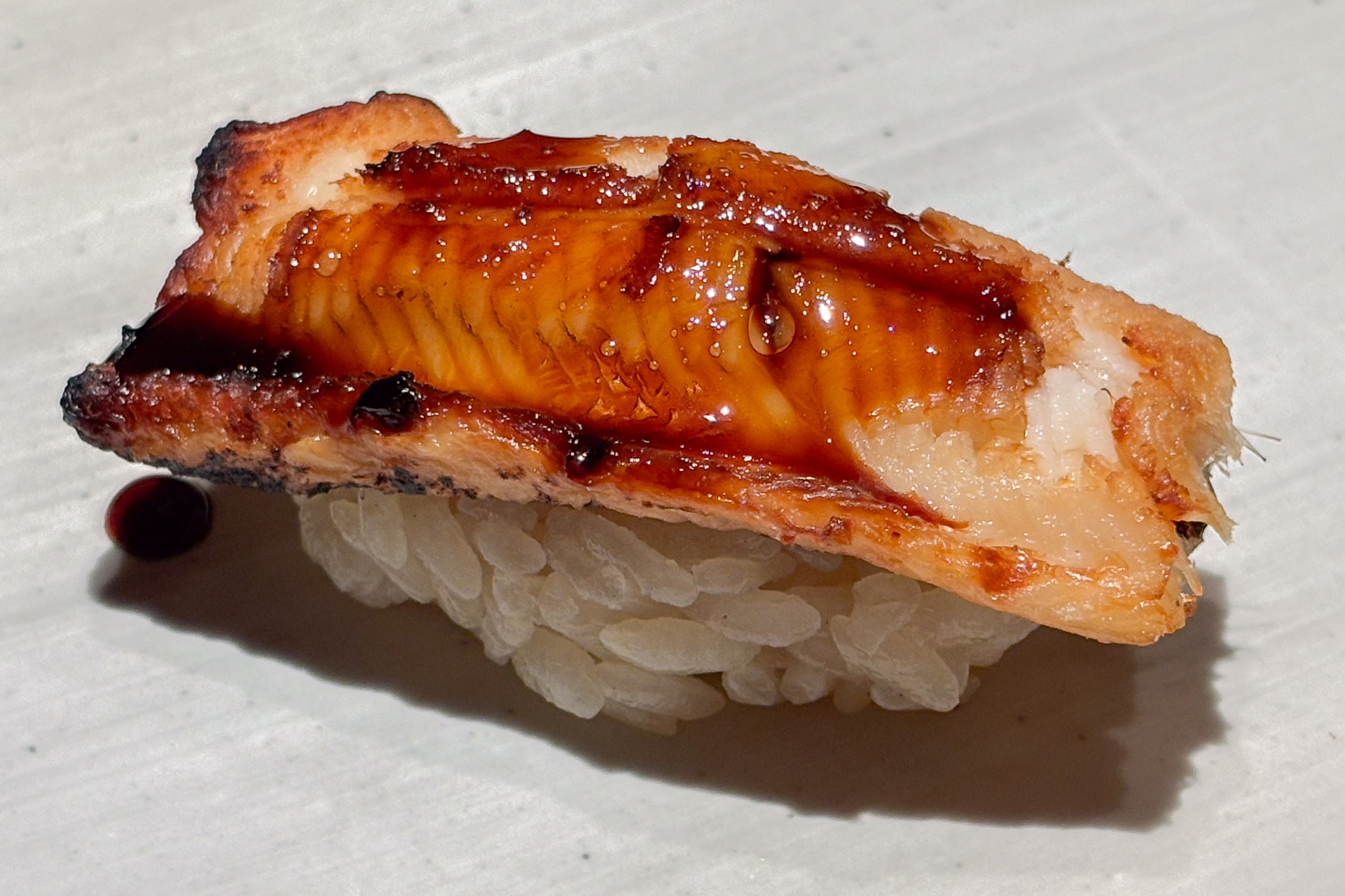 千葉 富津 穴子