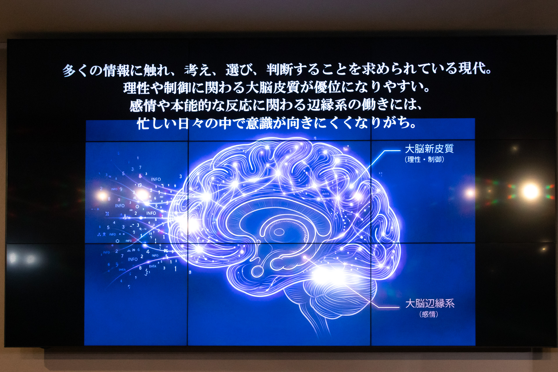 脳科学の観点から勧める「本能のスイッチ」